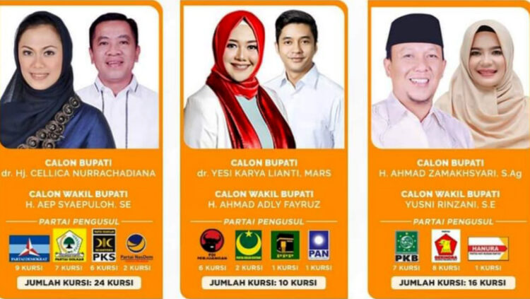 Siapa Pemenang Pilkada Kabupaten Karawang? | Demokratis