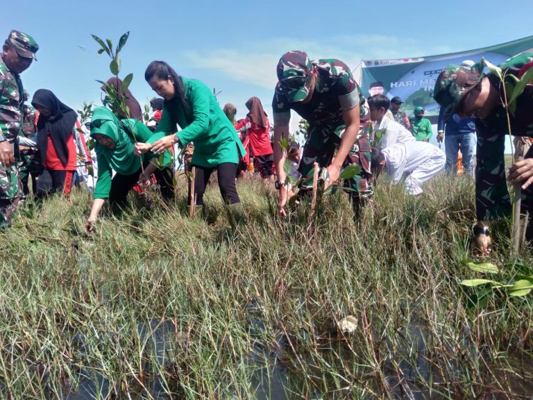 Dandim 0616 Tanam 600 Bibit Pohon Mangrove di Desa Tanjakan