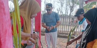 Rutin Lakukan Giat Jumat Bersih, Pemerintah Kelurahan Bontoa Gelar Penanaman Kembang Sekaligus Penyerahan Baju Kader Posyandu