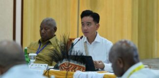 Papua Akan Dapat 24 Rumah Sakit Baru, Gibran: Tak Perlu Lagi Berobat ke Jawa!