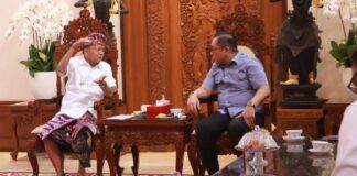 Gubernur Koster Adukan ke Wamen Investasi Soal Maraknya Orang Asing Miliki Rental dan Penginapan di Bali