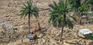Korban Meninggal Banjir Sumatera Capai 1.059 Orang, 192 Masih Hilang