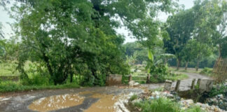 Kades Padamulya Diduga Korupsi Dana Desa (DD) Pembangunan Poros Jalan Desa, Sehingga Berpotensi Merugikan Kuangan Negara/Daerah/Desa