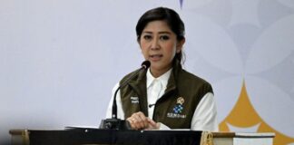 Menkomdigi Meutya: Pemerintah Tengah Percepat Konektivitas Internet