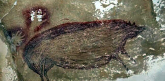 Temuan Lukisan Dinding di Gua Sulawesi Ubah Sejarah Asal Usul Manusia