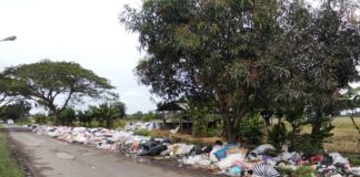 Hari Peduli Sampah Nasional, Perda Nomor 4 Tahun 2025 Diharap Bisa Direpresentasikan Oleh Camat, Lurah Serta Kuwu di Indramayu