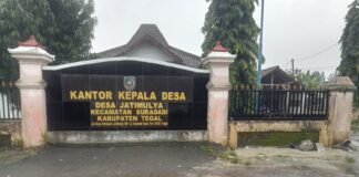 Habiskan Anggaran DD Rp50 Juta, Program Ketahanan Pangan Desa Jatimulya Hanya Kolam Ikan Lele dari Plastik