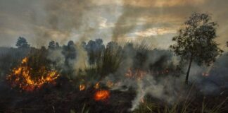 BMKG Deteksi 213 Titik Panas di Riau