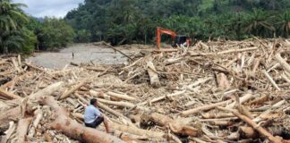 Rp60 Triliun Dana Bencana Disorot, DPR Minta Penanganan Pascabencana Aceh-Sumatera Satu Komando