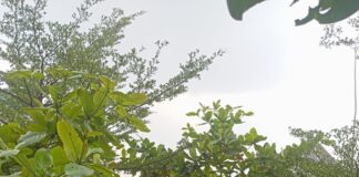 Taman Wisata Si Gantang Dua Pesona dan Asri